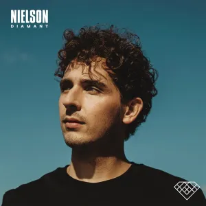 Nielson  Diamant (Music On Vinyl) (Arrives in 21 Days) hi-fi linear power supply,hi-fi digital coaxial input,hi-fi speaker selector