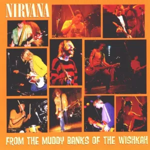 Nirvana C From The Muddy Banks Of The Wishkah (Arrives in 4 days) hi-fi studio monitor amp,hi-fi audiophile DAC,hi-fi lossless amplifier