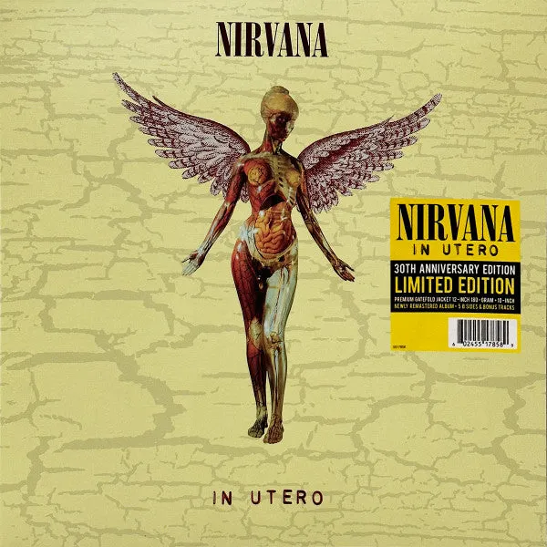Nirvana C In Utero (Arrives in 4 days) hi-fi signal splitter,hi-fi line out converter,hi-fi compact stereo