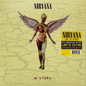 Nirvana C In Utero (Arrives in 4 days) hi-fi signal splitter,hi-fi line out converter,hi-fi compact stereo