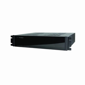 Paradigm X-300  Subwoofer Amplifier 300W (Each) hi-fi analog preamp,hi-fi dynamic range audio,hi-fi stereo for TV