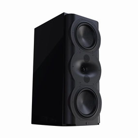 PERLISTEN Audio R5m Monitor Speakers hi-fi woofer unit,hi-fi subwoofer box,hi-fi crossover kit