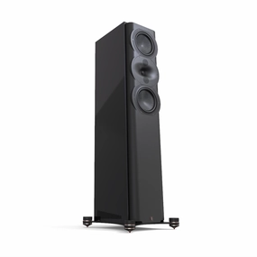 PERLISTEN Audio R5t Tower Speakers hi-fi woofer unit,hi-fi subwoofer box,hi-fi crossover kit