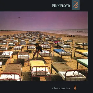 Pink Floyd  A Momentary Lapse Of Reason  (Arrives in 4 Days) hi-fi radio tuner,hi-fi analog radio,hi-fi stereo cabinet with shelves