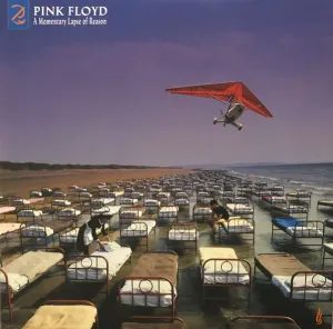 Pink Floyd C A Momentary Lapse Of Reason (Remixed & Updated) (Arrives in 4 days ) hi-fi amp for vinyl,hi-fi class A tube amp,hi-fi amp with phono input