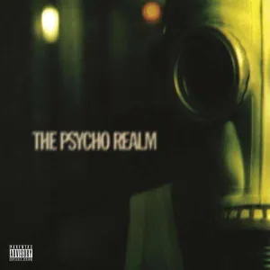 Psycho Realm  The Psycho Realm (Music On Vinyl) (Arrives in 21 Days) hi-fi linear power supply,hi-fi digital coaxial input,hi-fi speaker selector