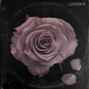 Raheem DeVaughn & Apollo Brown  Lovesick (Used Vinyl - NM) ND Marketplace