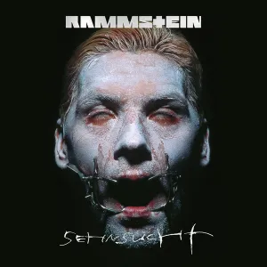 Rammstein C Sehnsucht (Arrives in 4 days) hi-fi equalizer with spectrum,hi-fi music system with turntable,hi-fi dual speaker setup