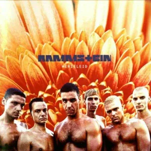 Rammstein -Herzeleid  (Arrives in 4 days) hi-fi subwoofer cable,hi-fi driver unit,hi-fi frequency response