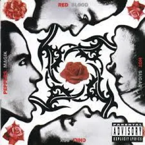 Red Hot Chili Peppers  Blood Sugar Sex Magik  (Arrives in 4 Days)