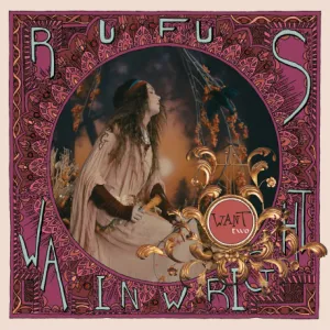 Rufus Wainwright  Want Two (Music On Vinyl) (Arrives in 21 Days) hi-fi linear power supply,hi-fi digital coaxial input,hi-fi speaker selector