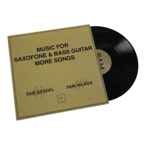 Sam Gendel & Sam Wilkes: Music For Saxofone & Bass Guitar More Songs Vinyl LP hi-fi vacuum tube amplifier,hi-fi stereo base,hi-fi speaker wire kit