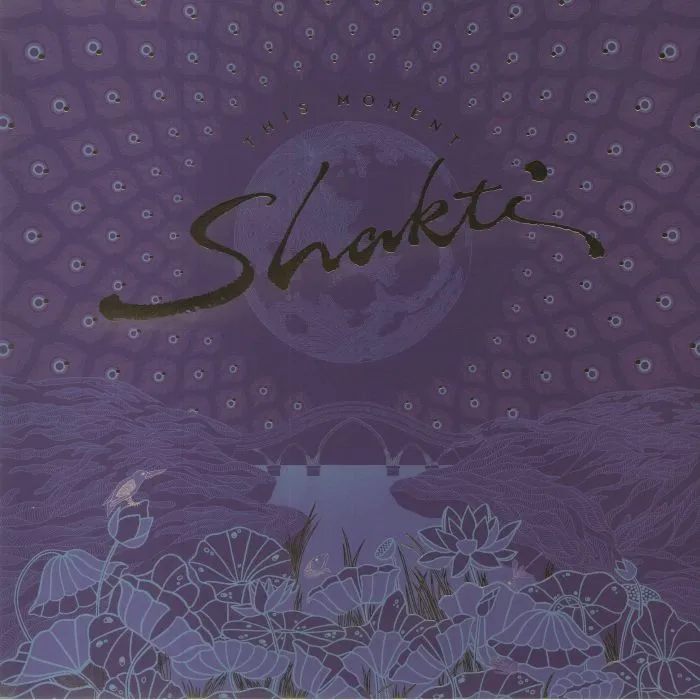 Shakti C This Moment (Arrives in 7 Days) hi-fi equalizer with spectrum,hi-fi music system with turntable,hi-fi dual speaker setup