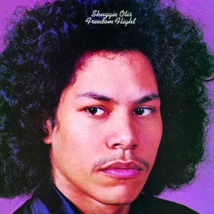 Shuggie Otis C Freedom Flight (Music On Vinyl) (Arrives in 21 Days) hi-fi desktop system,hi-fi modular audio system,hi-fi recording playback