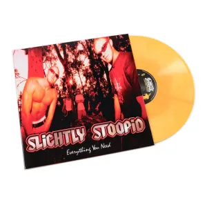 Slightly Stoopid: Everything You Need LP (Orange Galaxy Colored Vinyl) Vinyl LP hi-fi phono amp,hi-fi hi-res bluetooth,hi-fi amplifier enclosure