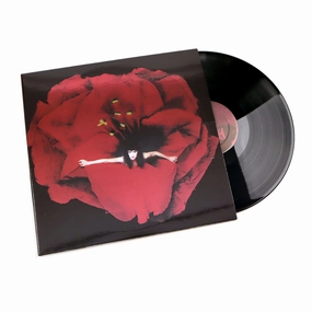 Smashing Pumpkins: Adore - Deluxe Edition (180g) Vinyl 2LP hi-fi portable DAC,hi-fi desktop DAC,hi-fi headphone stand