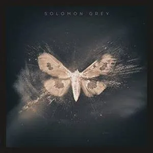 Solomon Grey C Solomon Grey  (Arrives in 4 days ) hi-fi subwoofer cable,hi-fi driver unit,hi-fi frequency response