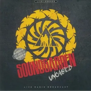 Soundgarden  -Uncaged  (Arrives in 4 days ) hi-fi equalizer with spectrum,hi-fi music system with turntable,hi-fi dual speaker setup