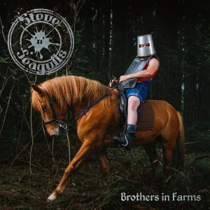 Steve'n'Seagulls ?C Brothers In Farms (Arrives in 4 days ) hi-fi subwoofer cable,hi-fi driver unit,hi-fi frequency response