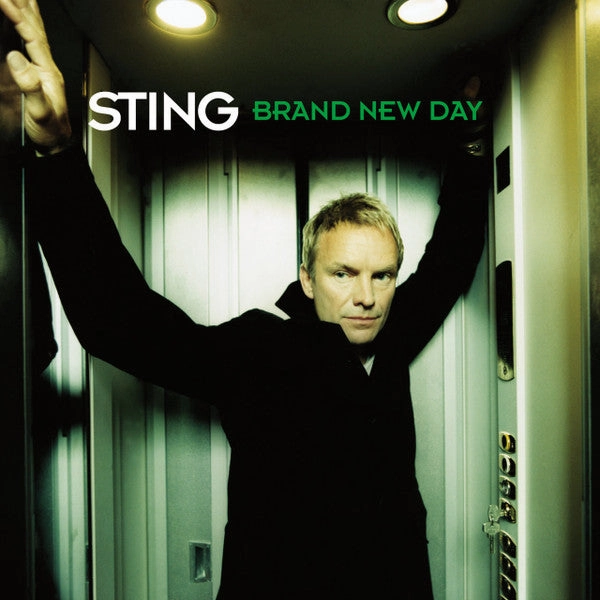 Sting - Brand New Day (Arrives in 4 Days) hi-fi analog input amp,hi-fi Bluetooth 5.0 amp,hi-fi tube amp with bluetooth