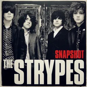 Strypes - Snapshot (Arrives in 4 days) hi-fi speaker damping kit,hi-fi panel absorber,hi-fi bass trap