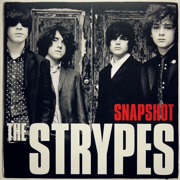 Strypes - Snapshot (Arrives in 4 days) hi-fi speaker damping kit,hi-fi panel absorber,hi-fi bass trap