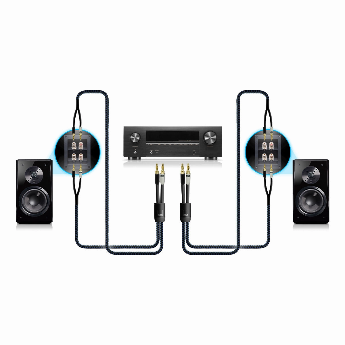SVS SoundPath Ultra Bi-Wire Speaker Cable with Banana Plug  10 ft.