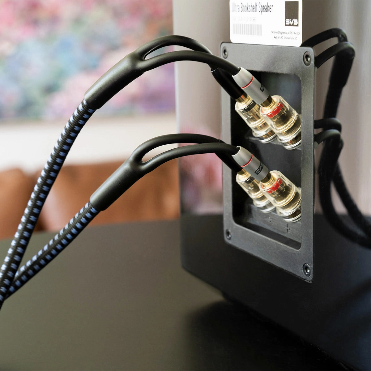 SVS SoundPath Ultra Bi-Wire Speaker Cable with Banana Plug  10 ft.