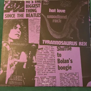 T. Rex C 1971  (Arrives in 4 days ) hi-fi amp for vinyl,hi-fi class A tube amp,hi-fi amp with phono input