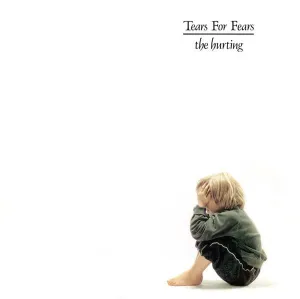 Tears For Fears C The Hurting (Arrives in 4 days) hi-fi studio monitor amp,hi-fi audiophile DAC,hi-fi lossless amplifier