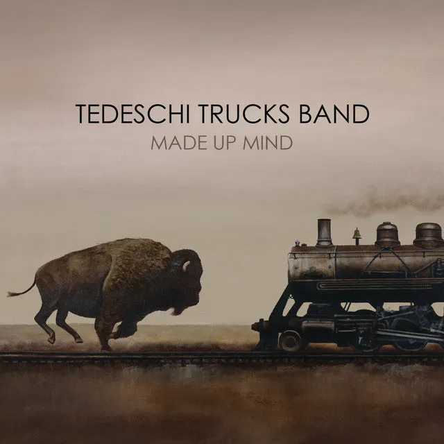 Tedeschi Trucks Band  Made Up Mind (Music On Vinyl) (Arrives in 21 Days) hi-fi linear power supply,hi-fi digital coaxial input,hi-fi speaker selector