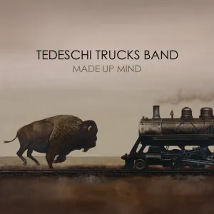 Tedeschi Trucks Band  Made Up Mind (Music On Vinyl) (Arrives in 21 Days) hi-fi linear power supply,hi-fi digital coaxial input,hi-fi speaker selector