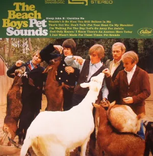 The Beach Boys C Pet Sounds (Arrives in 21 days) hi-fi speaker damping kit,hi-fi panel absorber,hi-fi bass trap
