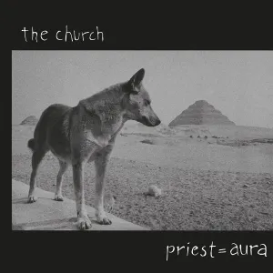 The Church C Priest = Aura-coloured lp  (Arrives in 4 days ) hi-fi speaker damping kit,hi-fi panel absorber,hi-fi bass trap