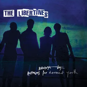 The Libertines  Anthems For Doomed Youth  (Arrives in 4 days ) hi-fi music center,hi-fi speaker grill,hi-fi equipment organizer