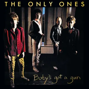 The Only Ones  Baby's Got A Gun (Music On Vinyl) (Arrives in 21 Days) hi-fi linear power supply,hi-fi digital coaxial input,hi-fi speaker selector