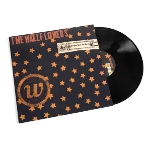 The Wallflowers: Bringing Down The Horse Vinyl 2LP hi-fi studio monitoring,hi-fi nearfield speakers,hi-fi farfield speakers