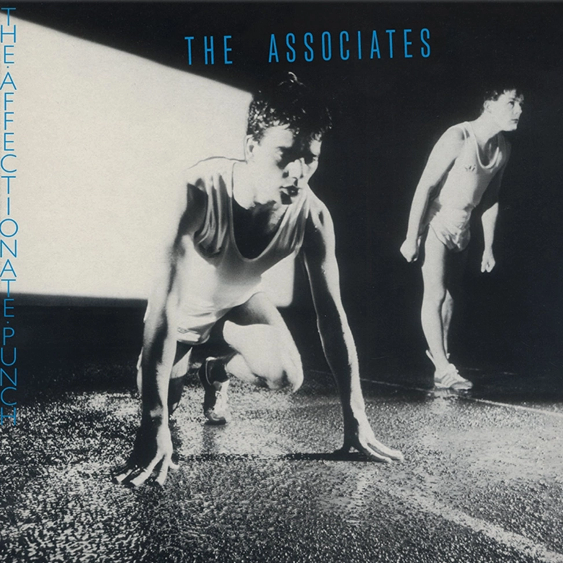 The Associates C The Affectionate Punch (Music On Vinyl) (Arrives in 21 Days) hi-fi desktop system,hi-fi modular audio system,hi-fi recording playback