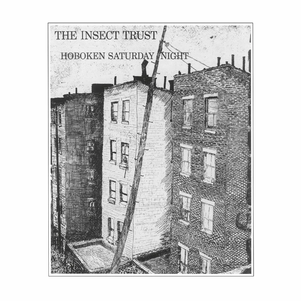 The Insect Trust C Hoboken Saturday Night (Music On Vinyl) (Arrives in 21 Days) hi-fi desktop system,hi-fi modular audio system,hi-fi recording playback
