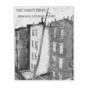 The Insect Trust C Hoboken Saturday Night (Music On Vinyl) (Arrives in 21 Days) hi-fi desktop system,hi-fi modular audio system,hi-fi recording playback