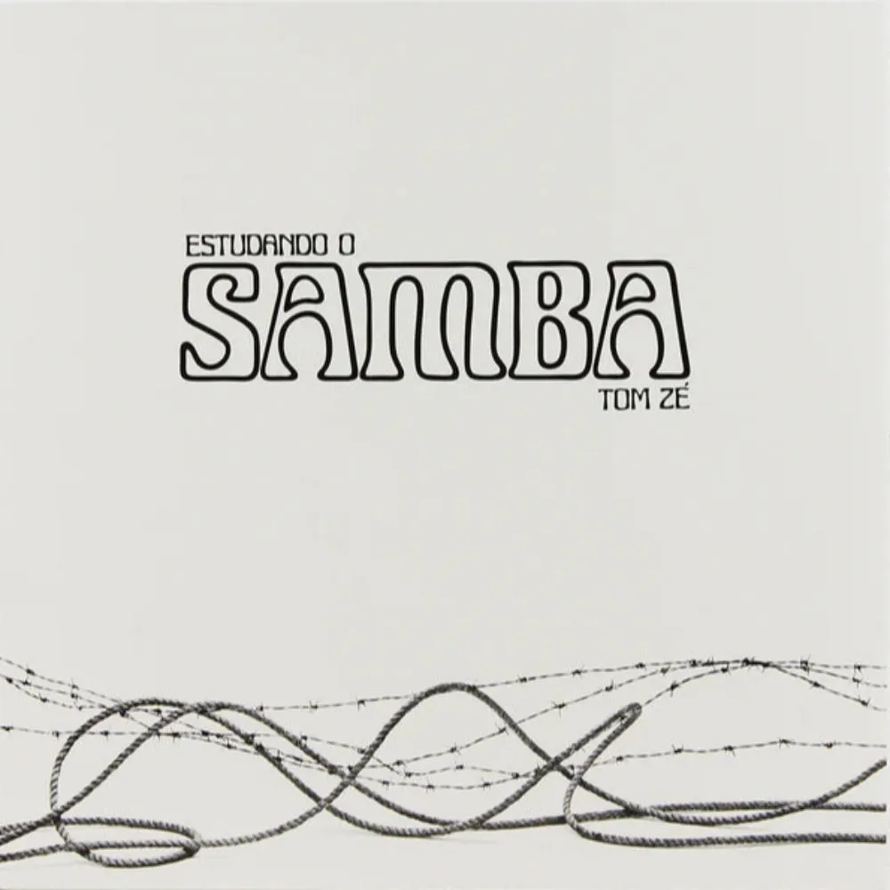 Tom Z  Estudando O Samba (Mr Bongo) (Arrives in 30 Days) hi-fi linear power supply,hi-fi digital coaxial input,hi-fi speaker selector