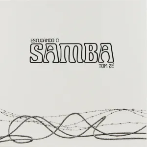Tom Z  Estudando O Samba (Mr Bongo) (Arrives in 30 Days) hi-fi linear power supply,hi-fi digital coaxial input,hi-fi speaker selector