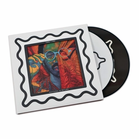 Toro Y Moi: Anything In Return (Pic Disc) Vinyl 2LP hi-fi cooling fan,hi-fi digital clock display,hi-fi power meter