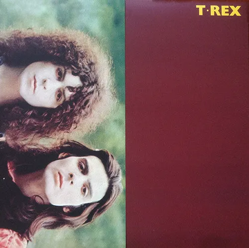 T.Rex  T.Rex   (Arrives in 4 days ) hi-fi music center,hi-fi speaker grill,hi-fi equipment organizer