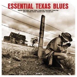 Various C Essential Texas Blues   (Arrives in 4 Days) hi-fi studio monitor amp,hi-fi audiophile DAC,hi-fi lossless amplifier