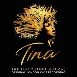 Various C Tina - The Tina Turner Musical (Original Cast Recording)  (Arrives in 4 days ) hi-fi amp for vinyl,hi-fi class A tube amp,hi-fi amp with phono input