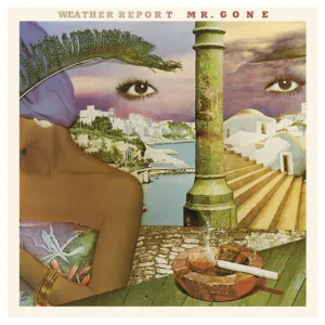 Weather Report  Mr. Gone (Music On Vinyl) (Arrives in 21 Days) hi-fi linear power supply,hi-fi digital coaxial input,hi-fi speaker selector