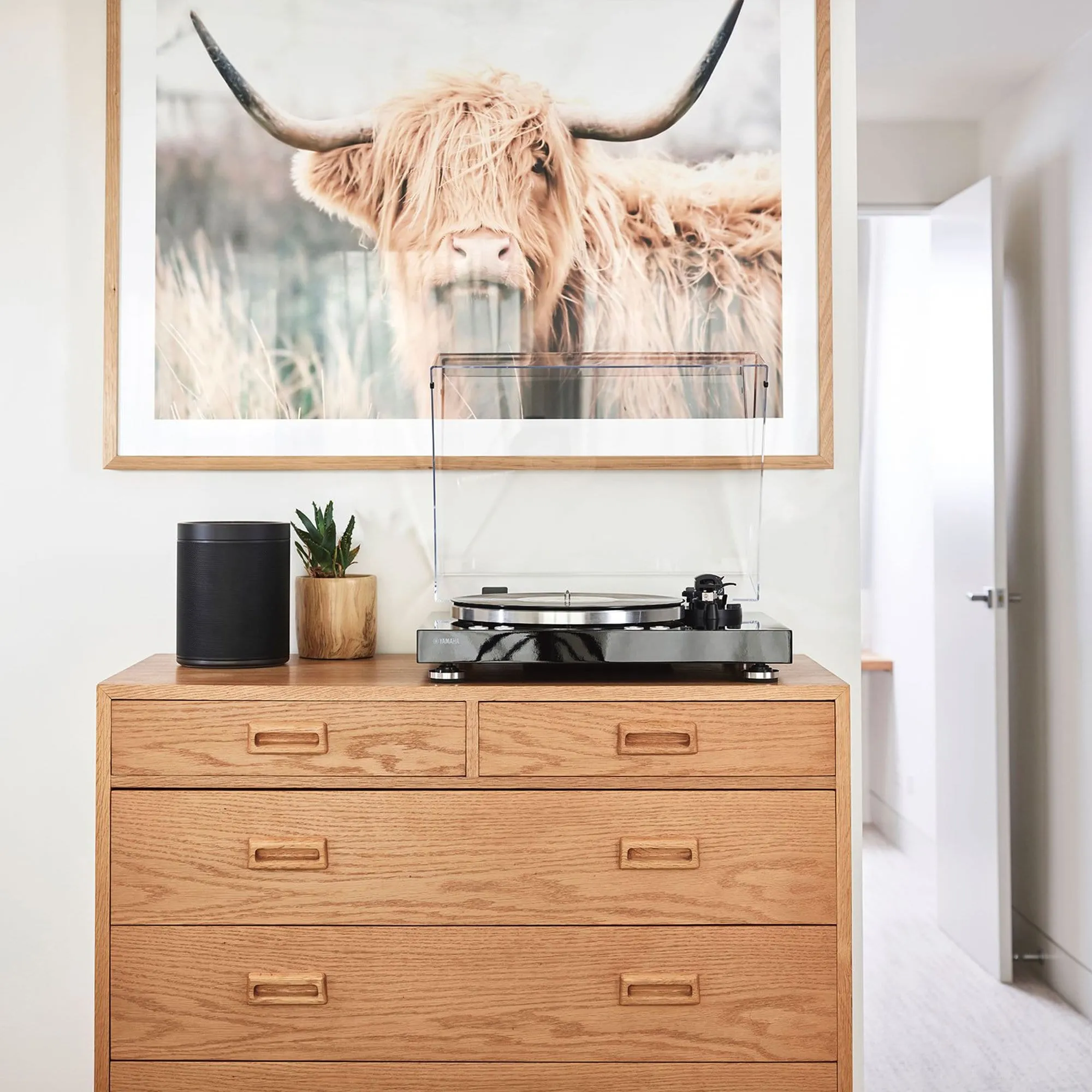 Yamaha TT-N503 MusicCast Vinyl 500 Turntable